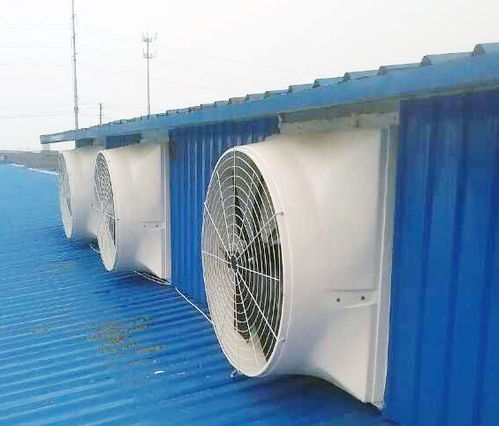 無動力屋頂風機報價與廠家選擇指南